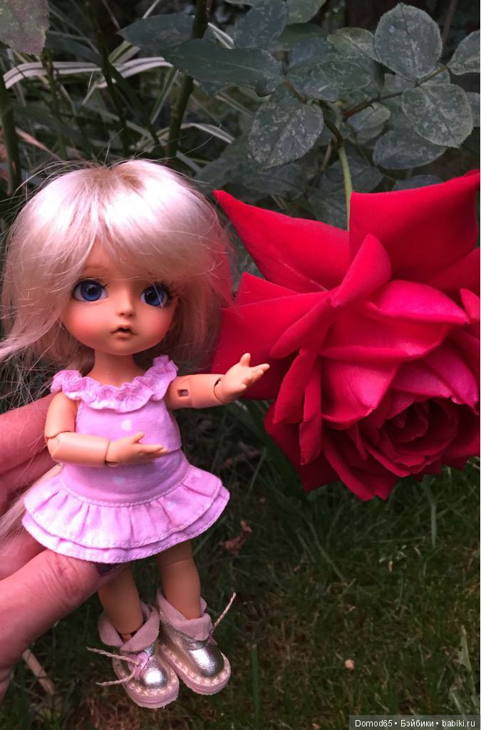 Прогулка Бенни — Куклы Latidoll (Лати): BJD (БЖД) (фото 8)