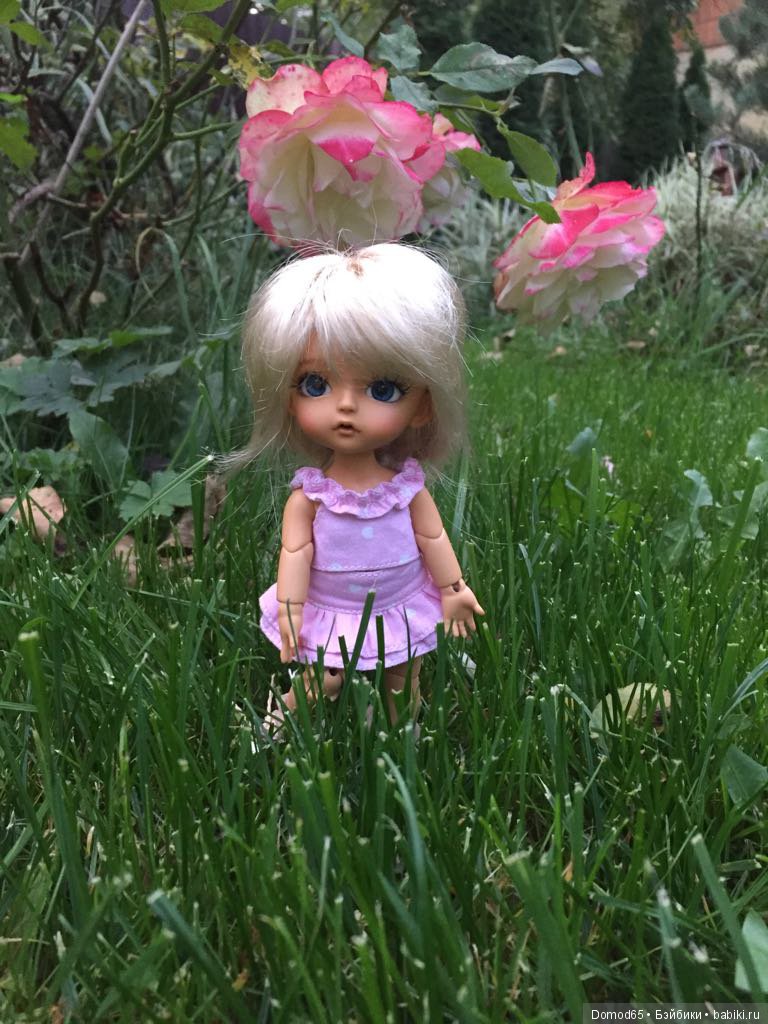 Прогулка Бенни — Куклы Latidoll (Лати): BJD (БЖД)