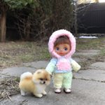 Костюм Спорт-шик на обитцу11 или кукол с похожими размерами