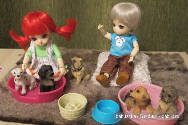 Дочкины малыши - Balljointed doll Ai - глоксиния и нирембергия