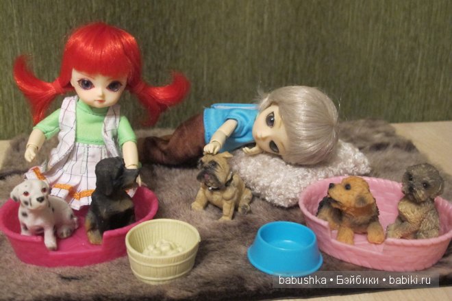 Дочкины малыши - Balljointed doll Ai - глоксиния и нирембергия