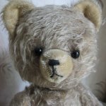 Такие милые медведи