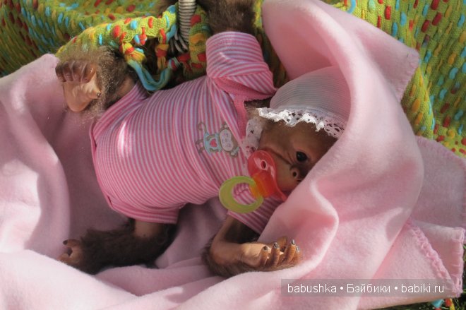 Прогулка дочкиной обезьянки-реборна Нямочки