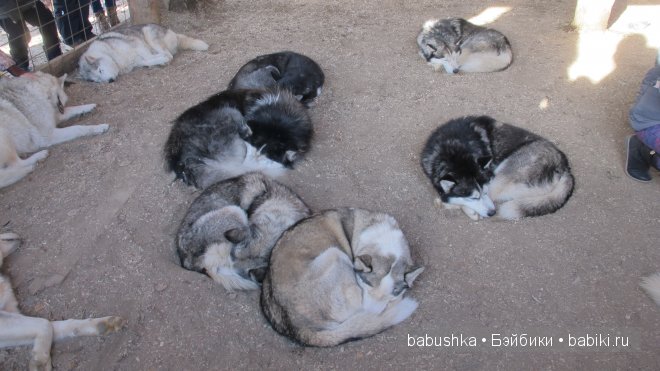 Этномир - этнографический парк в Калужской области