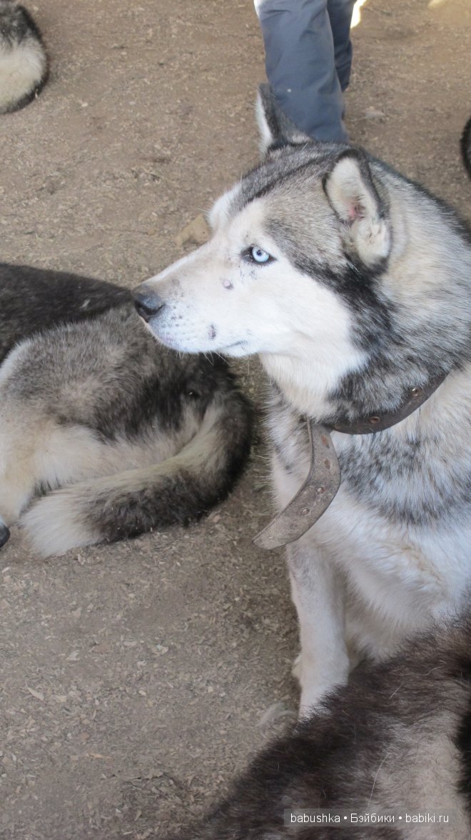 Этномир - этнографический парк в Калужской области