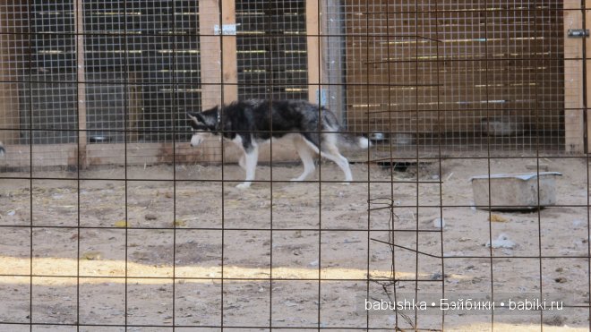 Этномир - этнографический парк в Калужской области