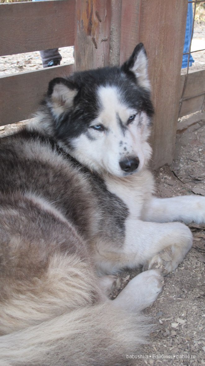 Этномир - этнографический парк в Калужской области