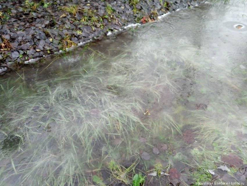 Лисенок Тод（авторская игрушка), совсем не зимняя прогулка