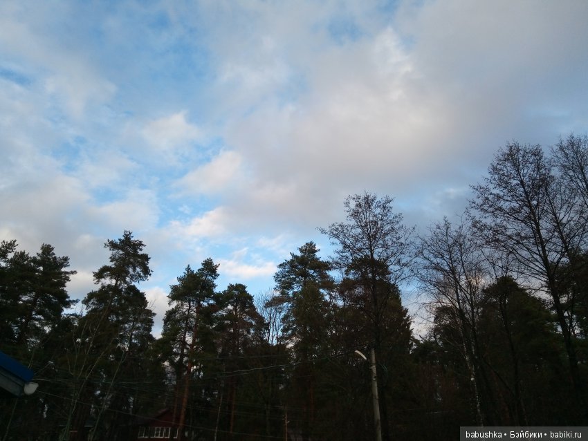 Лисенок Тод（авторская игрушка), совсем не зимняя прогулка