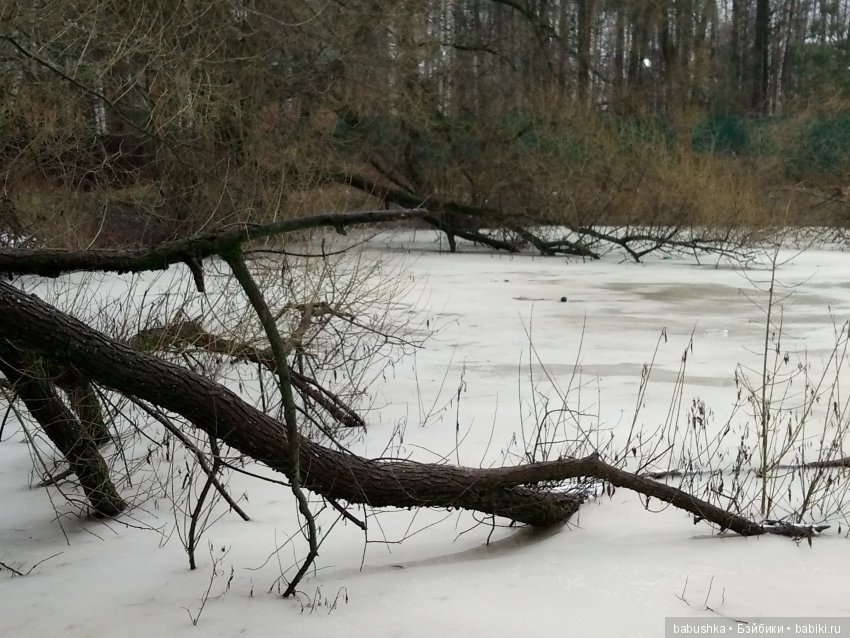 Лисенок Тод（авторская игрушка), совсем не зимняя прогулка