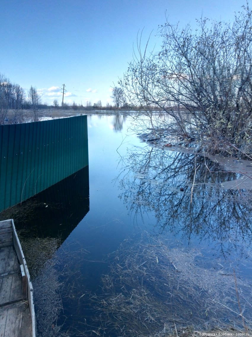 Прогулка в выходной с лисом по имени Тод и маленькими друзьями (фото 7)