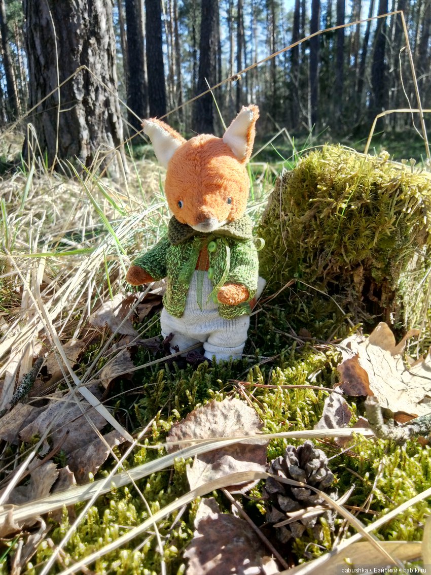 Прогулка в выходной с лисом по имени Тод и маленькими друзьями (фото 4)