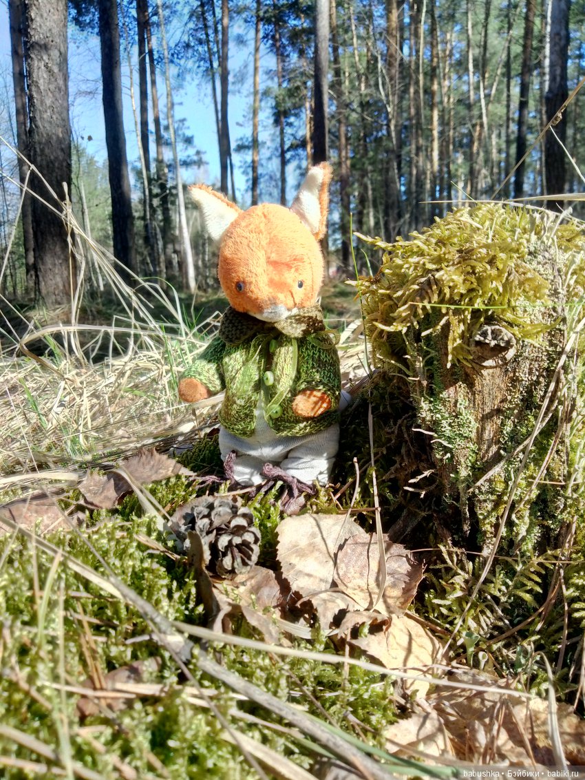 Прогулка в выходной с лисом по имени Тод и маленькими друзьями (фото 5)