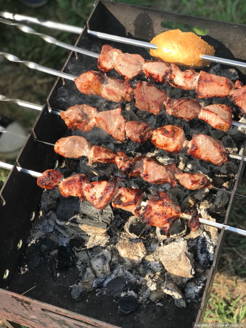 Прогулка в выходной с лисом по имени Тод и маленькими друзьями
