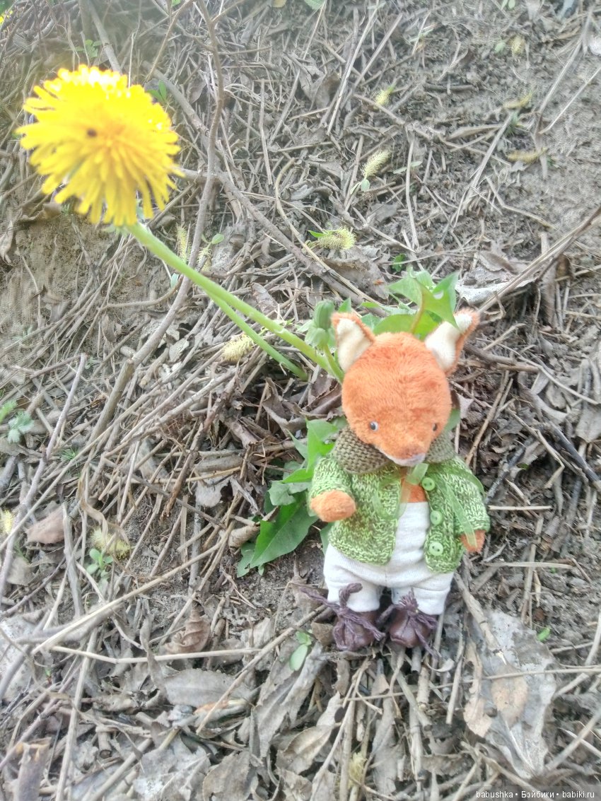 Прогулка в выходной с лисом по имени Тод и маленькими друзьями