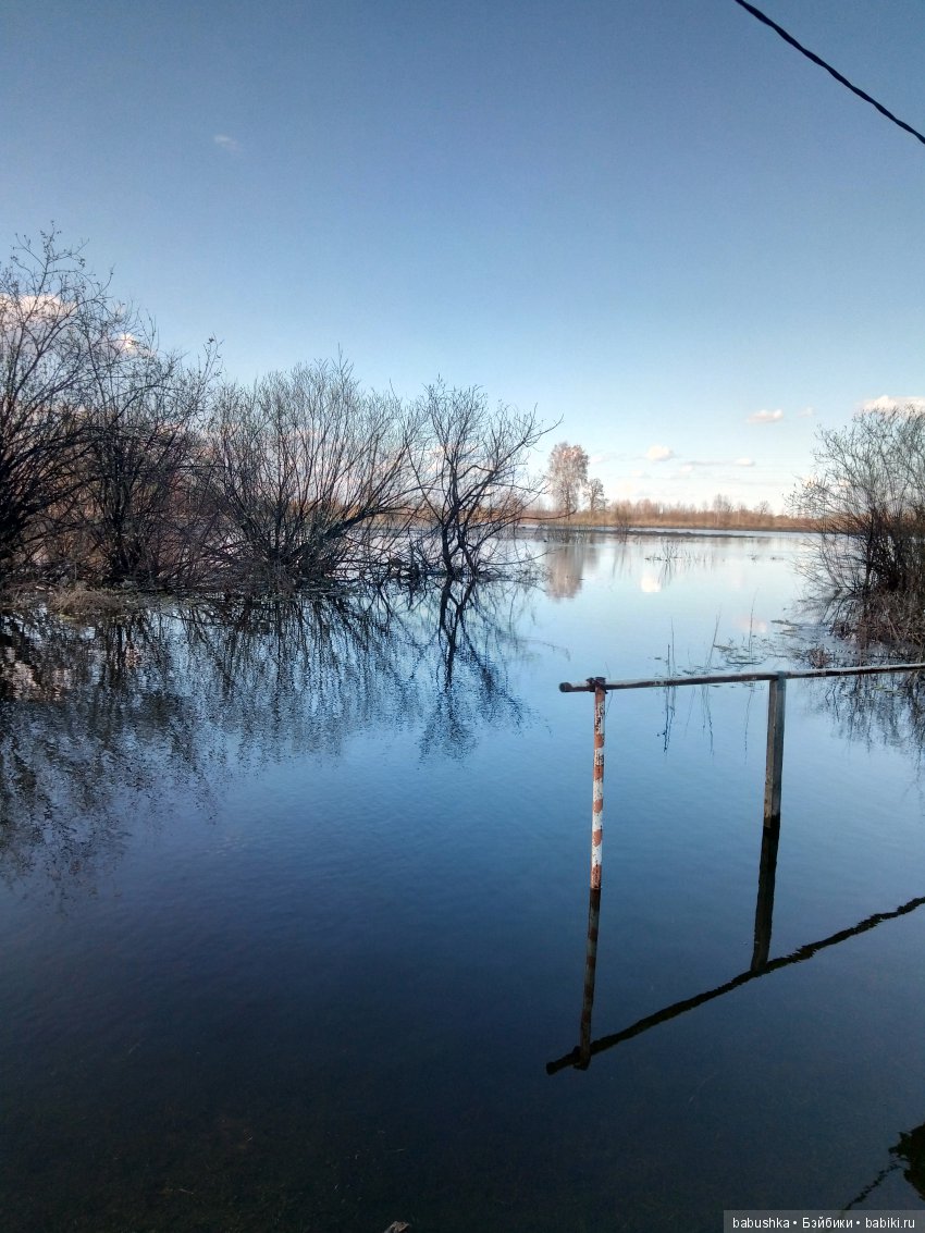 Прогулка в выходной с лисом по имени Тод и маленькими друзьями (фото 6)