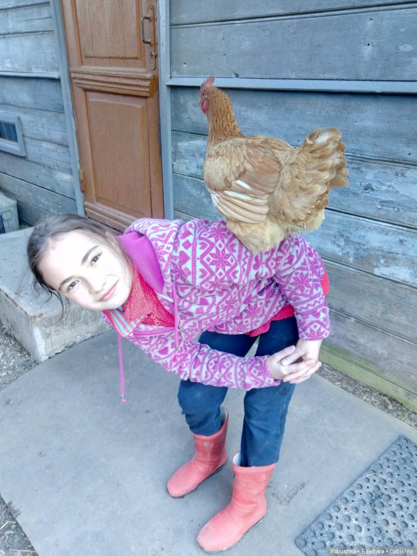 Прогулка в выходной с лисом по имени Тод и маленькими друзьями