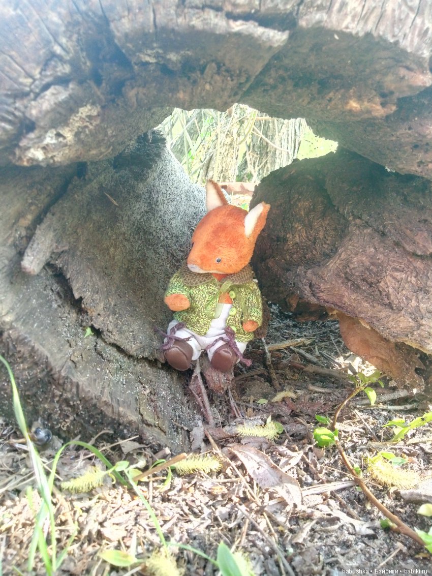 Прогулка в выходной с лисом по имени Тод и маленькими друзьями