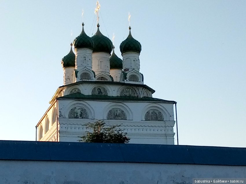 Прогулка в выходной с лисом по имени Тод и маленькими друзьями