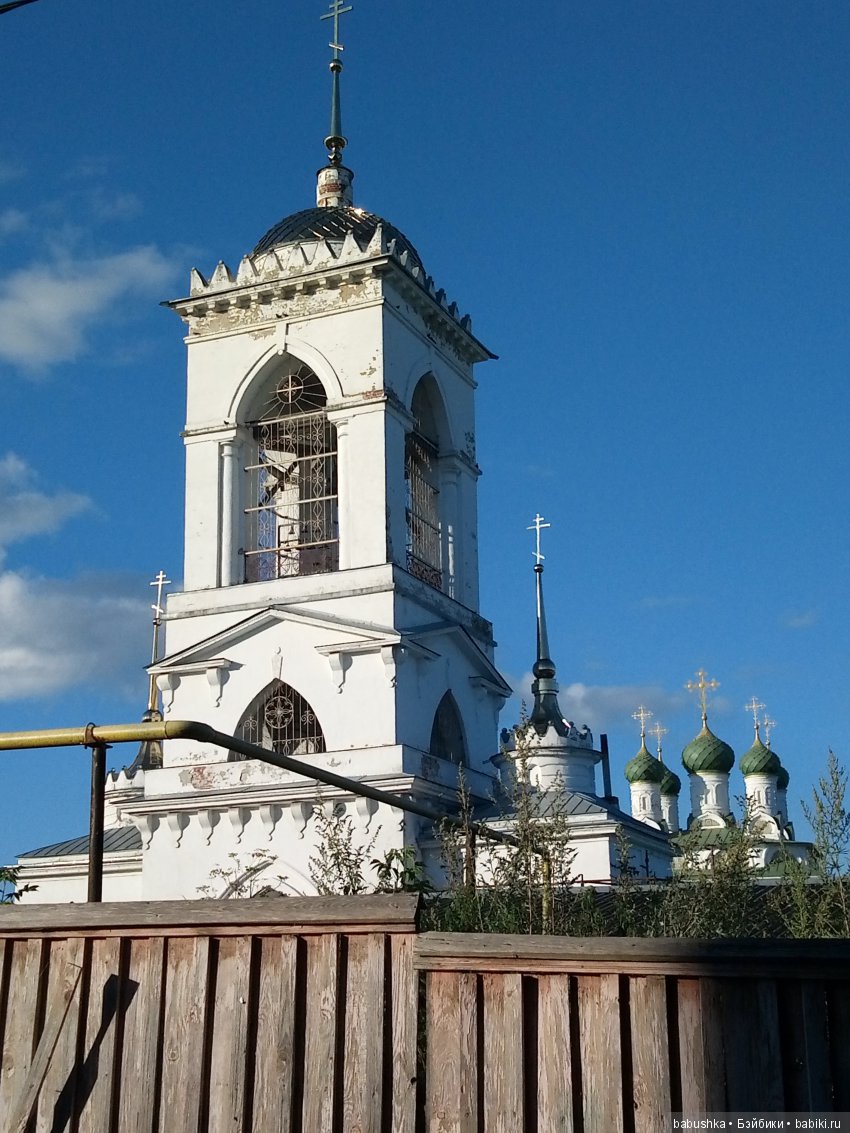 Прогулка в выходной с лисом по имени Тод и маленькими друзьями