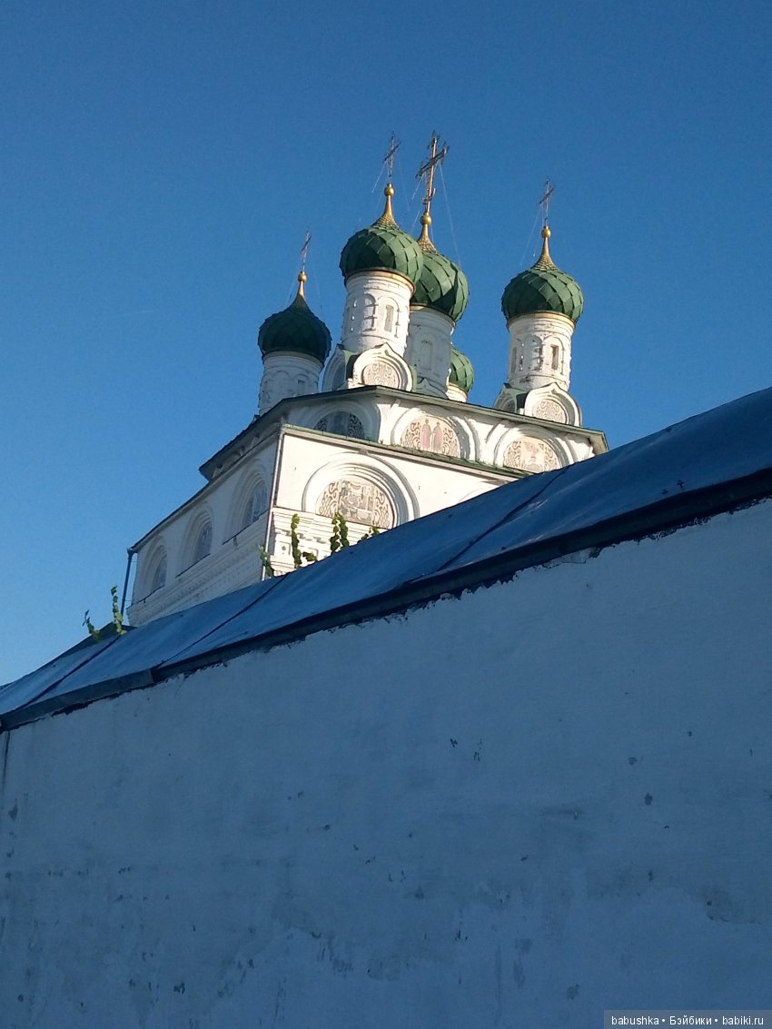 Прогулка в выходной с лисом по имени Тод и маленькими друзьями