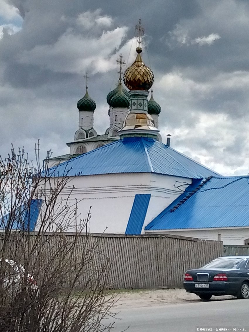 Прогулка в выходной с лисом по имени Тод и маленькими друзьями (фото 9)