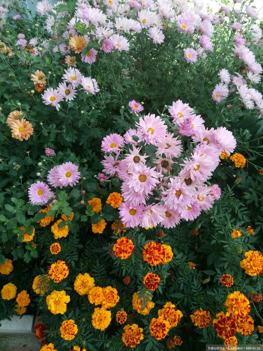 Солнечное и теплое лето "Плюшечек", куклы от Heidi Plusczok