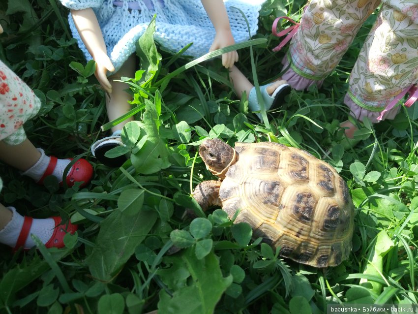 Солнечное и теплое лето "Плюшечек", куклы от Heidi Plusczok