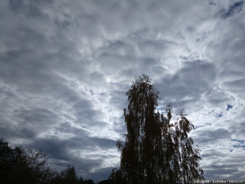 Разнообразие красок осени | Бэйбики Разнообразие красок осени