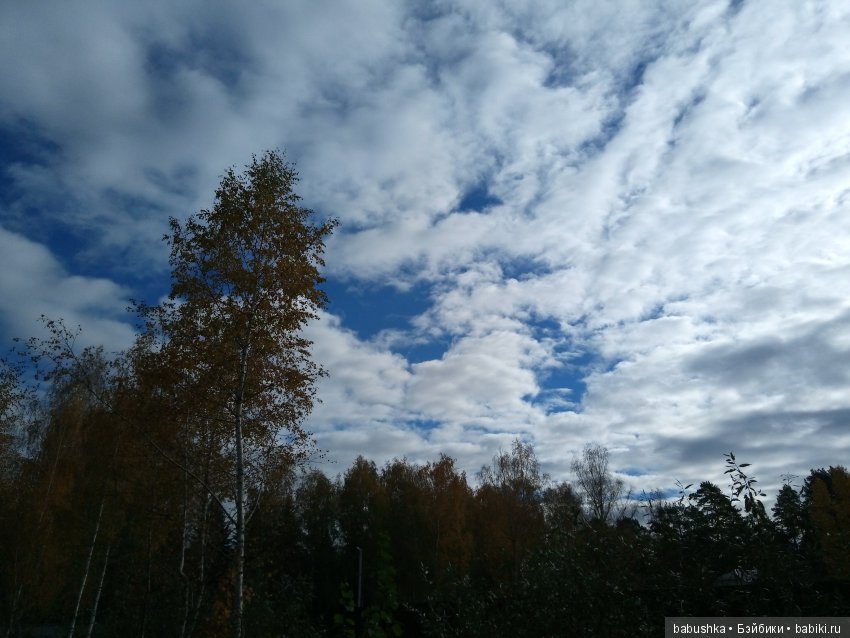 Разнообразие красок осени | Бэйбики Разнообразие красок осени