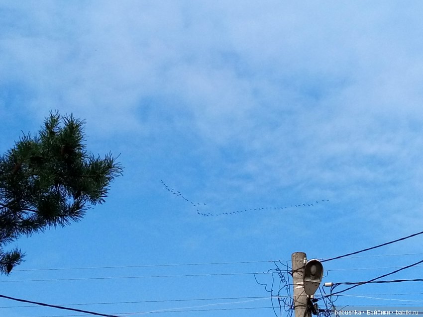 Разнообразие красок осени | Бэйбики Разнообразие красок осени