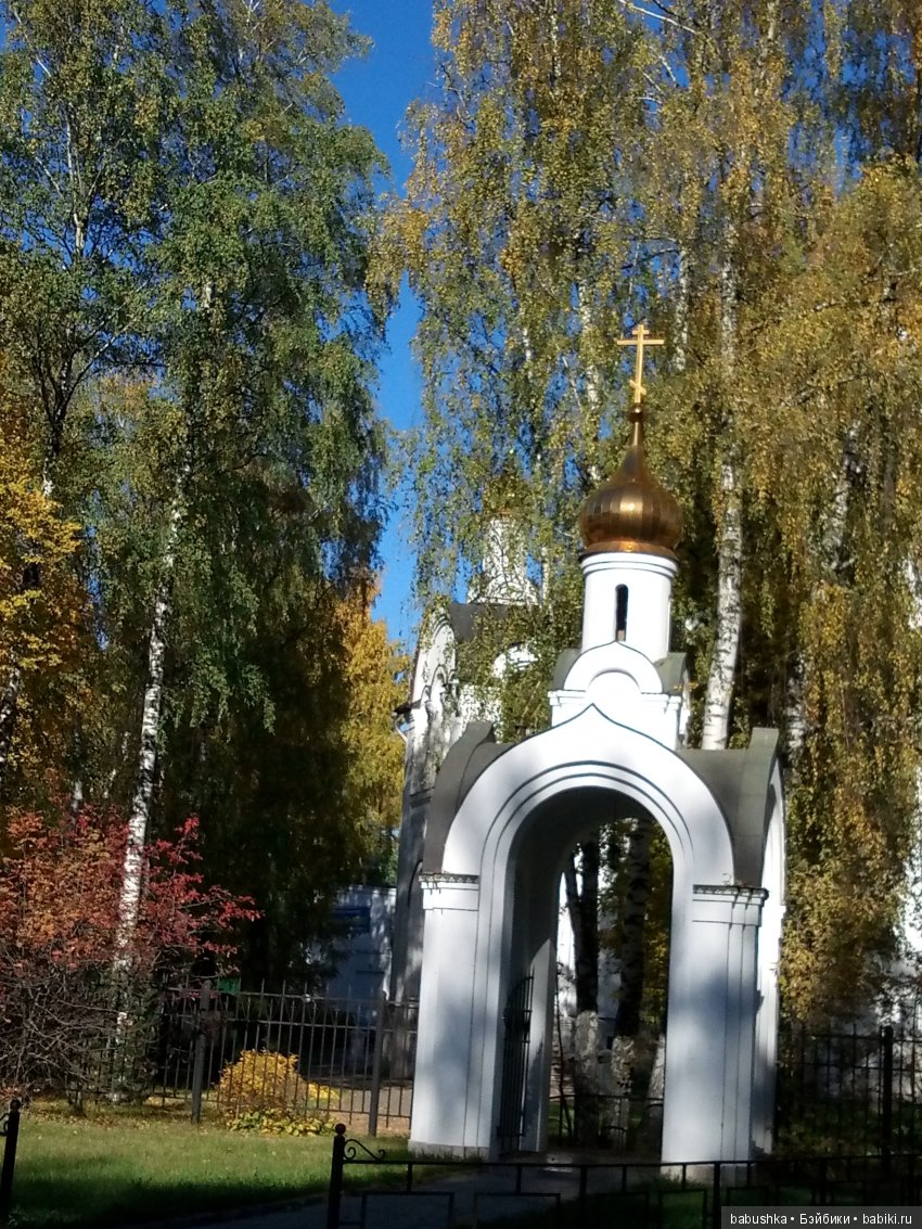 Разнообразие красок осени | Бэйбики Разнообразие красок осени (фото 8)