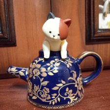 К нам приехала киска-малышка Пятнышко