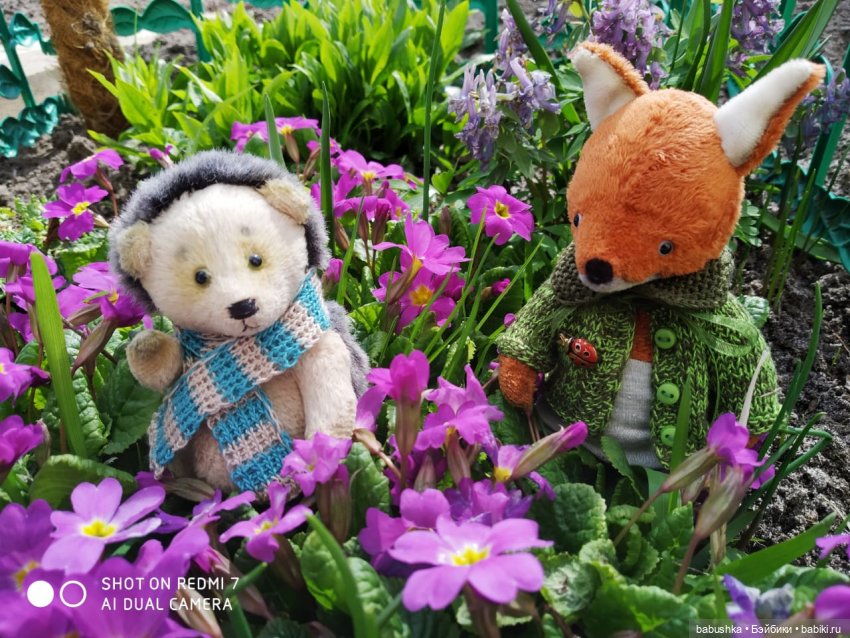 Новый друг Коржик, встречают все! (Бабайкины дети)