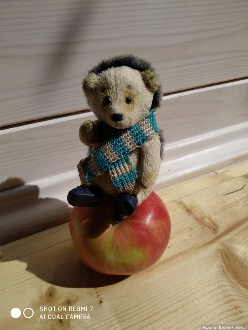 Новый друг Коржик, встречают все! (Бабайкины дети)