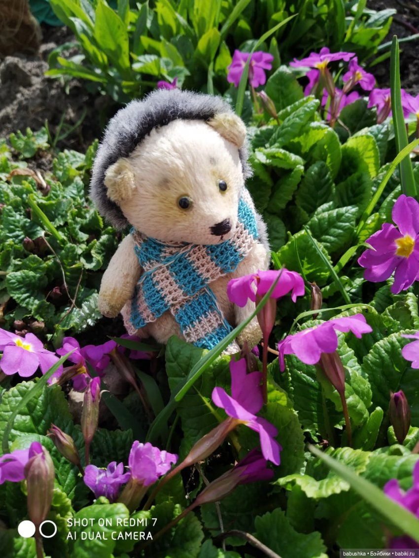 Новый друг Коржик, встречают все! (Бабайкины дети)