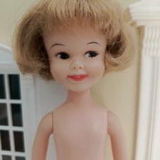 Пенни Брайт