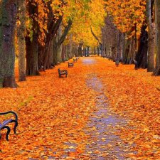 Хочу поделиться красотой.