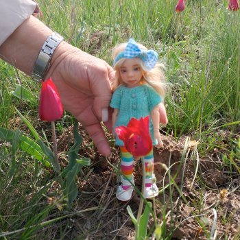 С Никой в Калмыкию