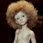 Встречаем новенькую