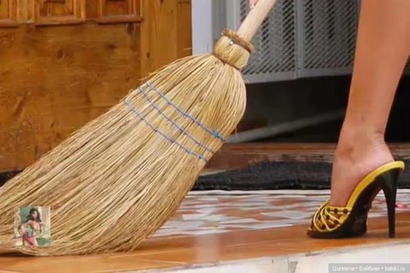 Мышиная охота — В мире животных: смешные фото питомцев и зверей (фото 5)