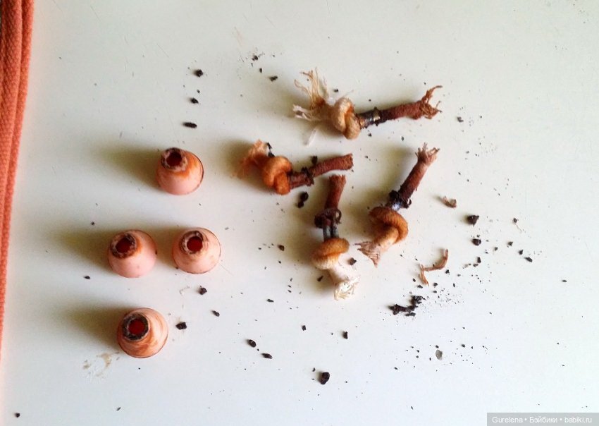 Не приятные последствия после перетяжки кукол когда мы это делать совсем не умеем