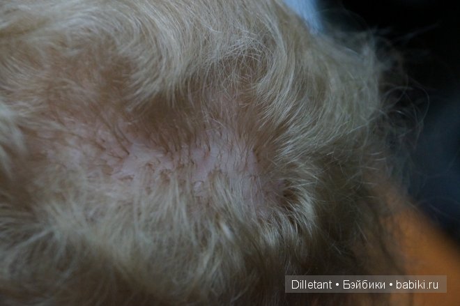 Грустная история. Ремикс — Отзывы о продавцах и посредниках: черный список (фото 9)