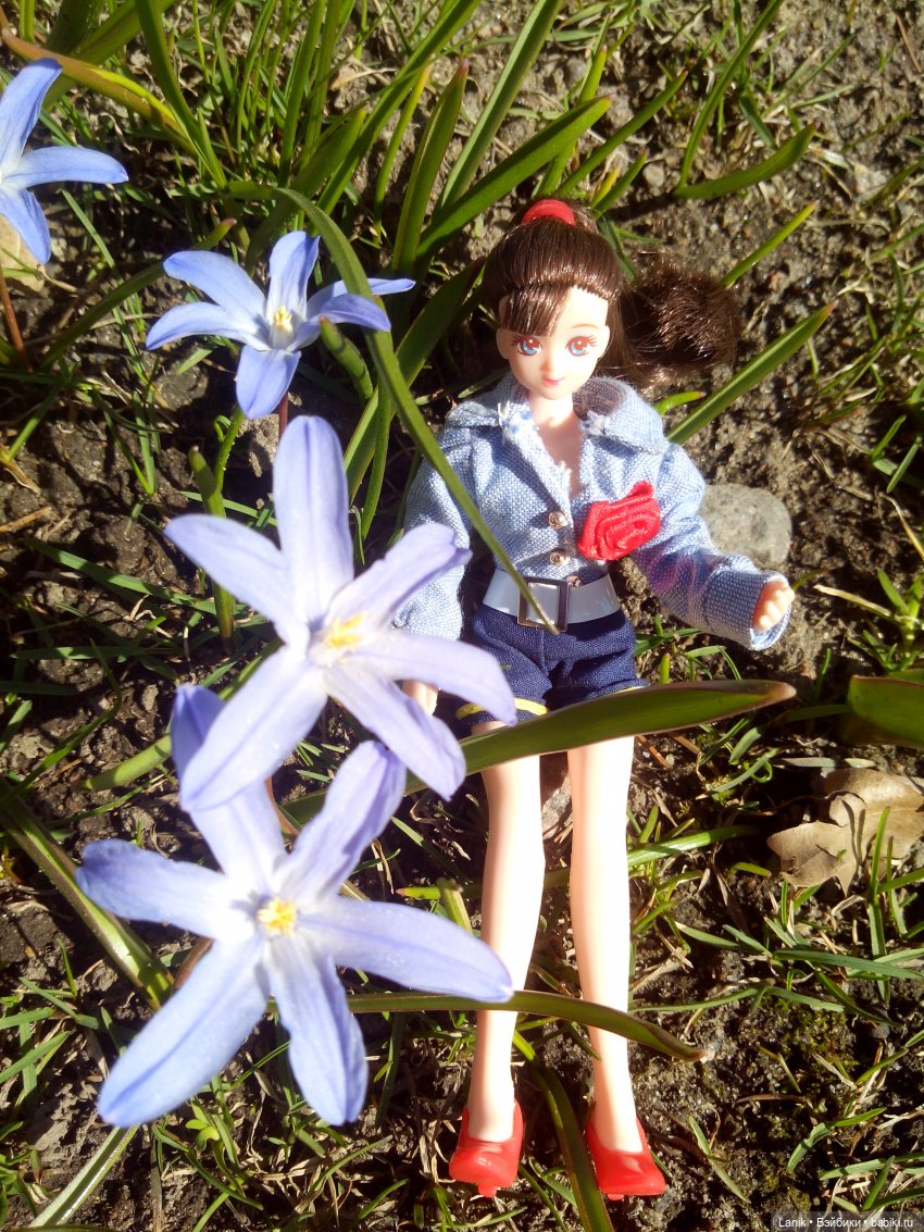 У нас тоже есть. С 2017 года.