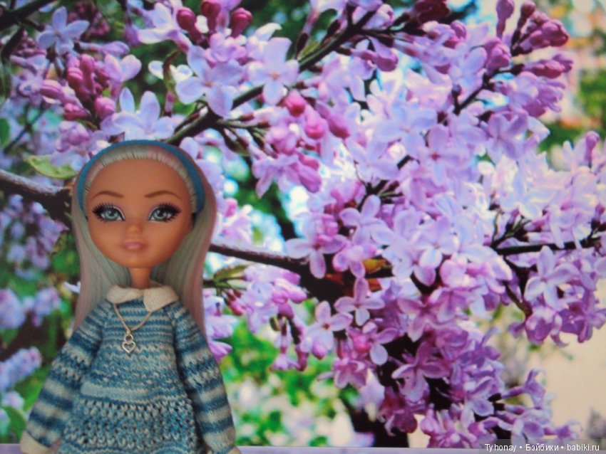 Зимняя Мята — Куклы Monster High и Ever After High: G1