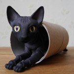 Шарнирный кот-сфинкс. Oleum`s dolls Cat sphinx - bjd