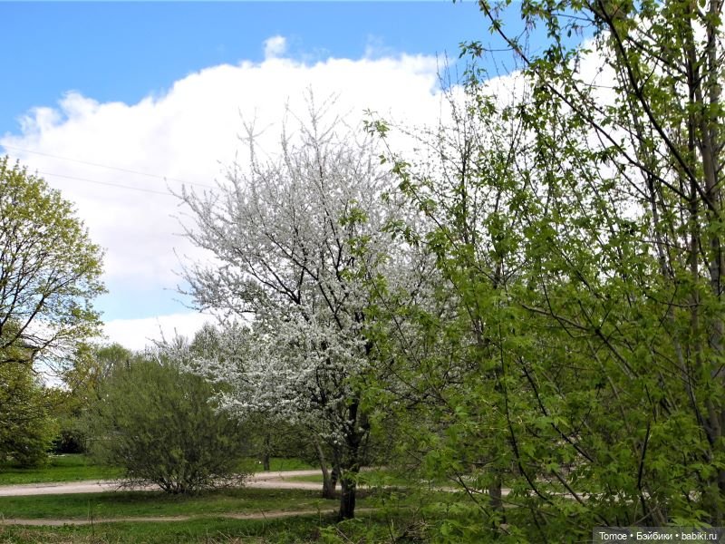 Шарнирная Инна — Советские винтажные куклы (СССР): Ленигрушка (фото 5)