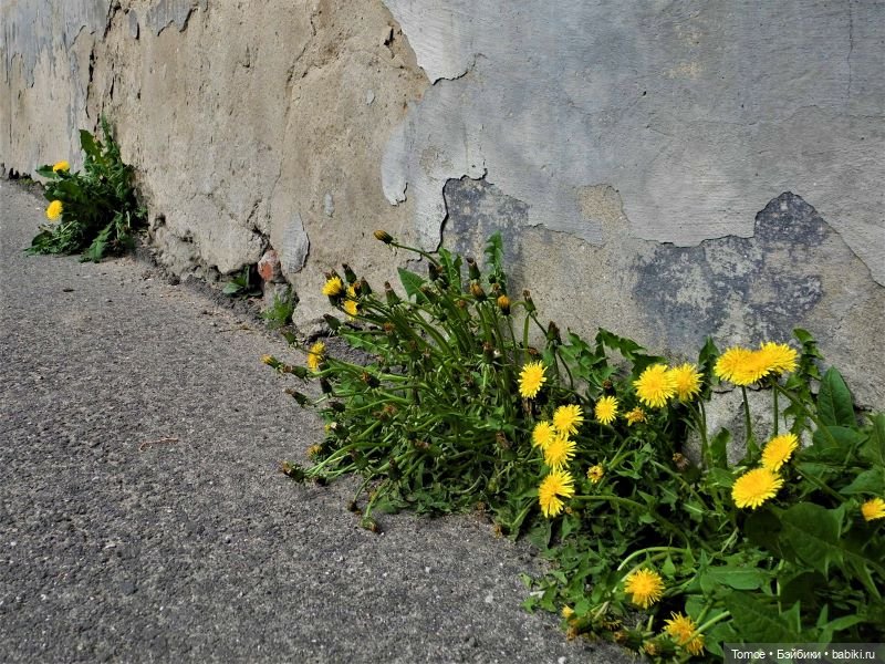 Шарнирная Инна — Советские винтажные куклы (СССР): Ленигрушка (фото 7)