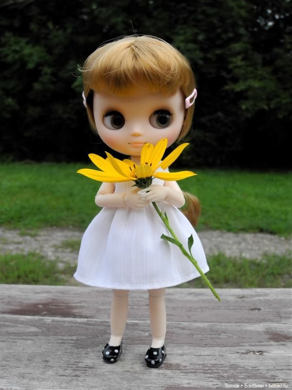 Провожаем лето — Куклы Baboliy (Баболи (фото 8)