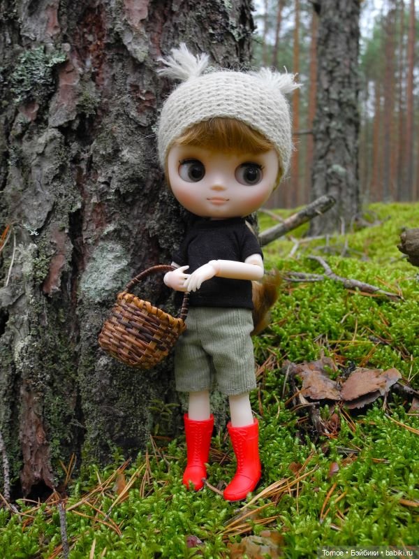 Первая декада сентября — Куклы Blythe TBL (ТБЛ) и аналоги: Блюх (фото 2)